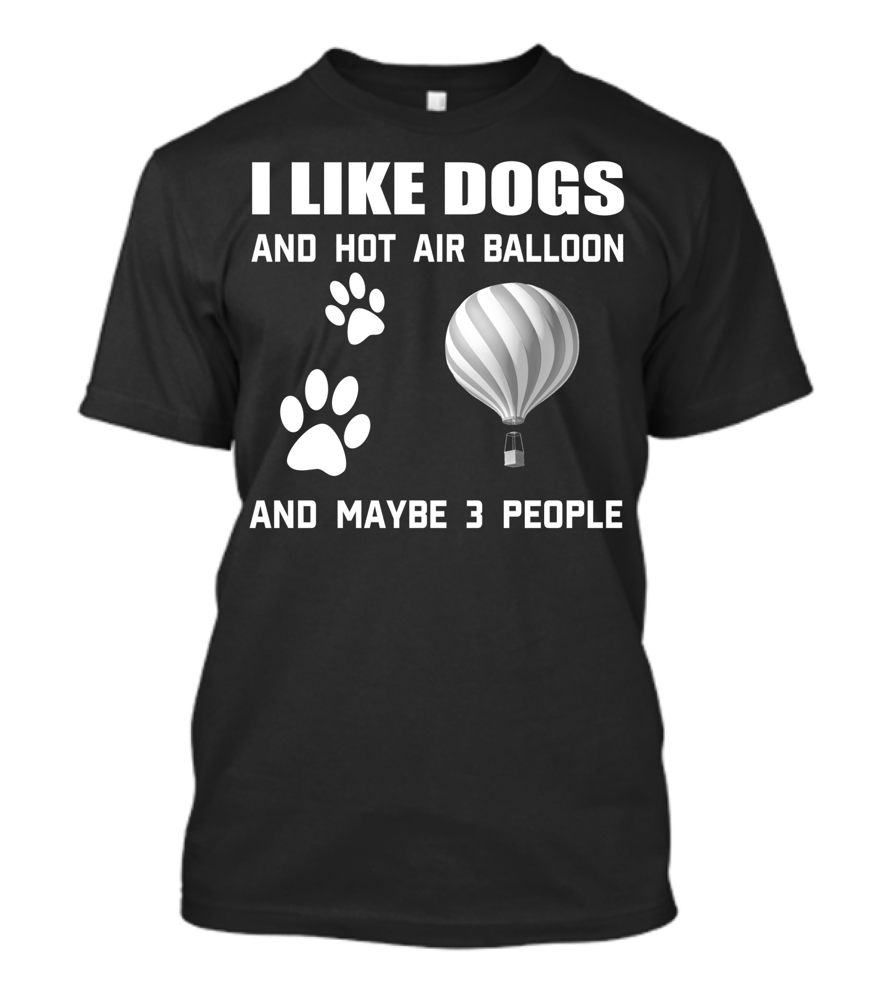 I Like Dogs And Hot Air Balloon And Maybe 3 People T-Shirt