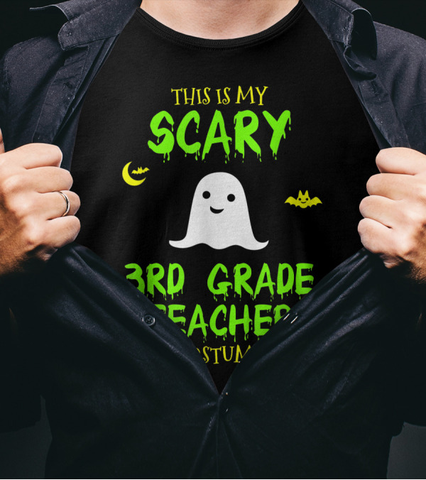 This Is My Scary 3rd Grade Teacher Costume Halloween Lazy Easy T-Shirt