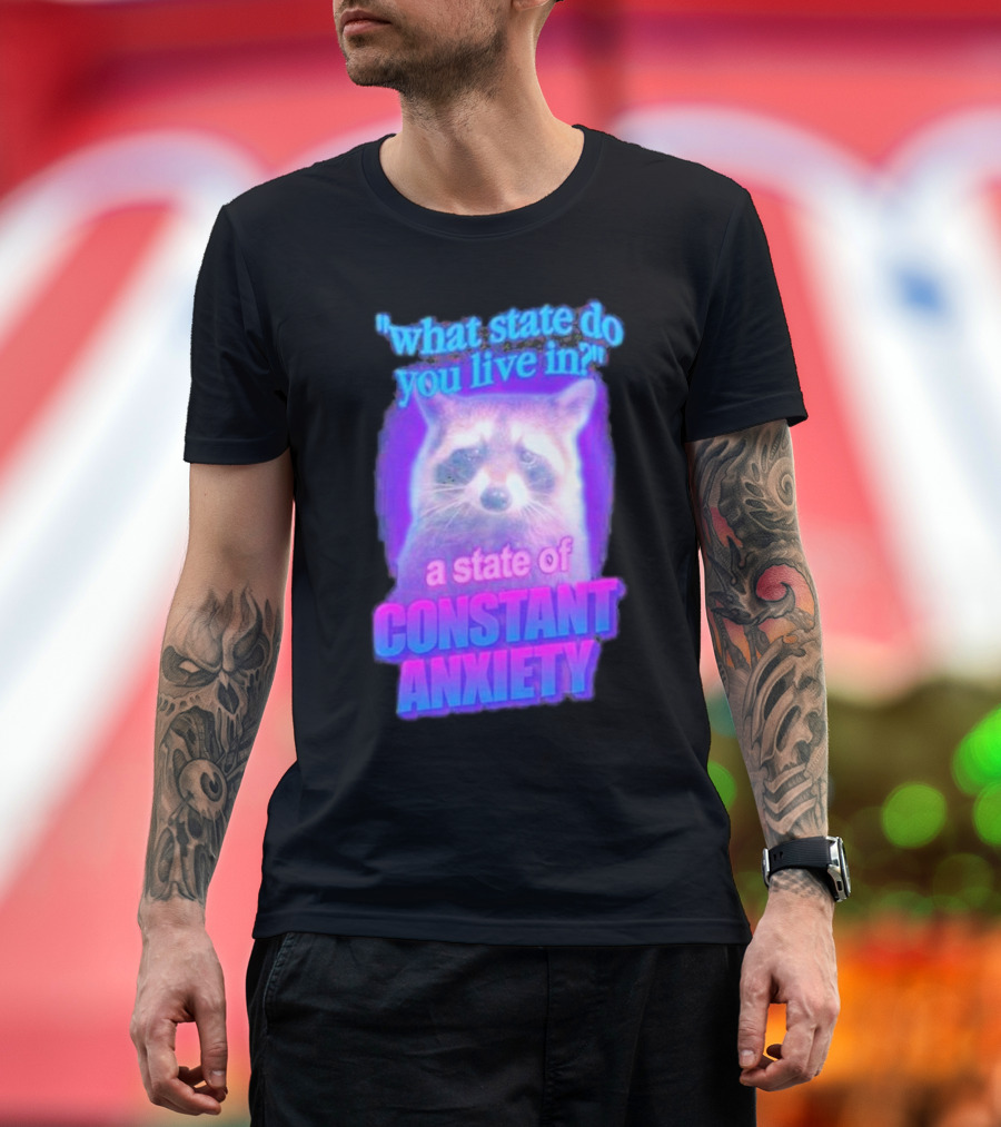 Raccoon in a State of Constant Anxiety Meme T-Shirt