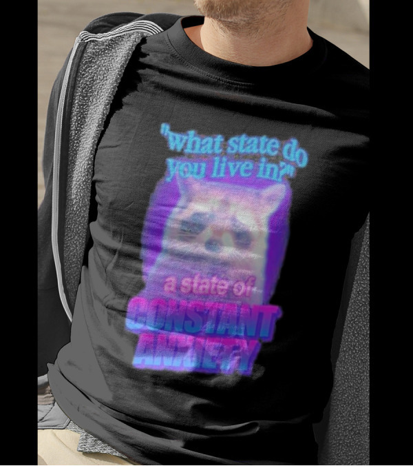 Raccoon In A State Of Constant Anxiety Meme T-Shirt