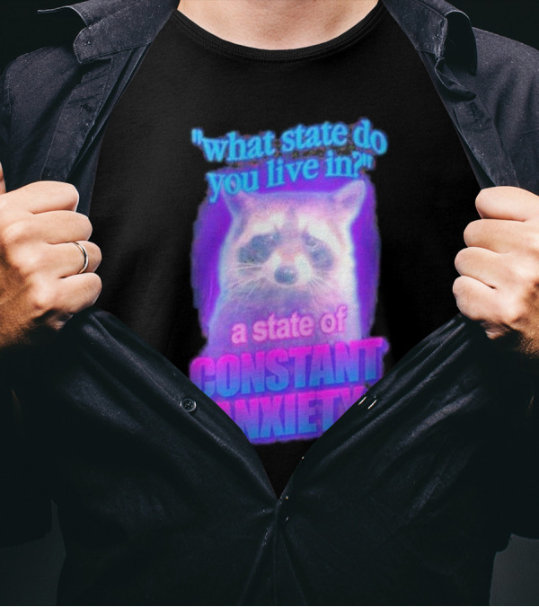 Raccoon In A State Of Constant Anxiety Meme T-Shirt
