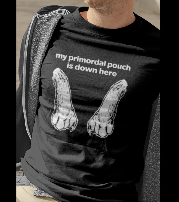 My Primordial Pouch Is Down Here Funny Cat Lover Graphic By Mango Island T-Shirt