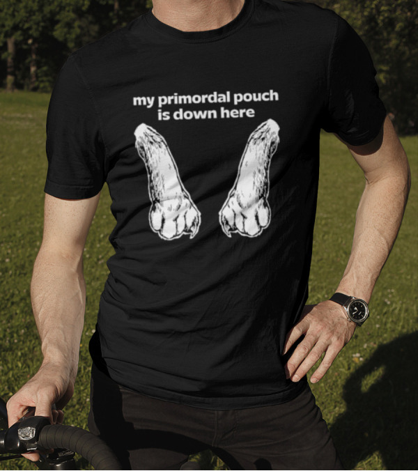 My Primordial Pouch Is Down Here Funny Cat Lover Graphic By Mango Island T-Shirt