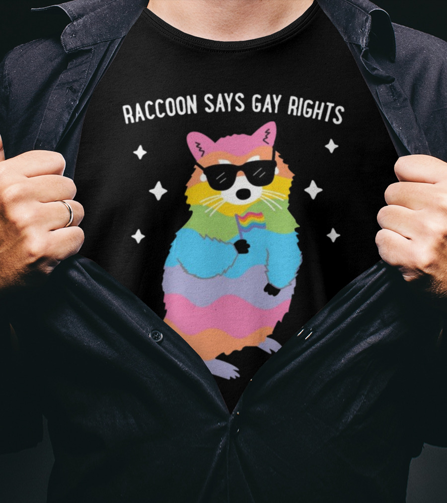 Raccoon Says Gay Rights Pride Rainbow Sunglasses Flag T-Shirt
