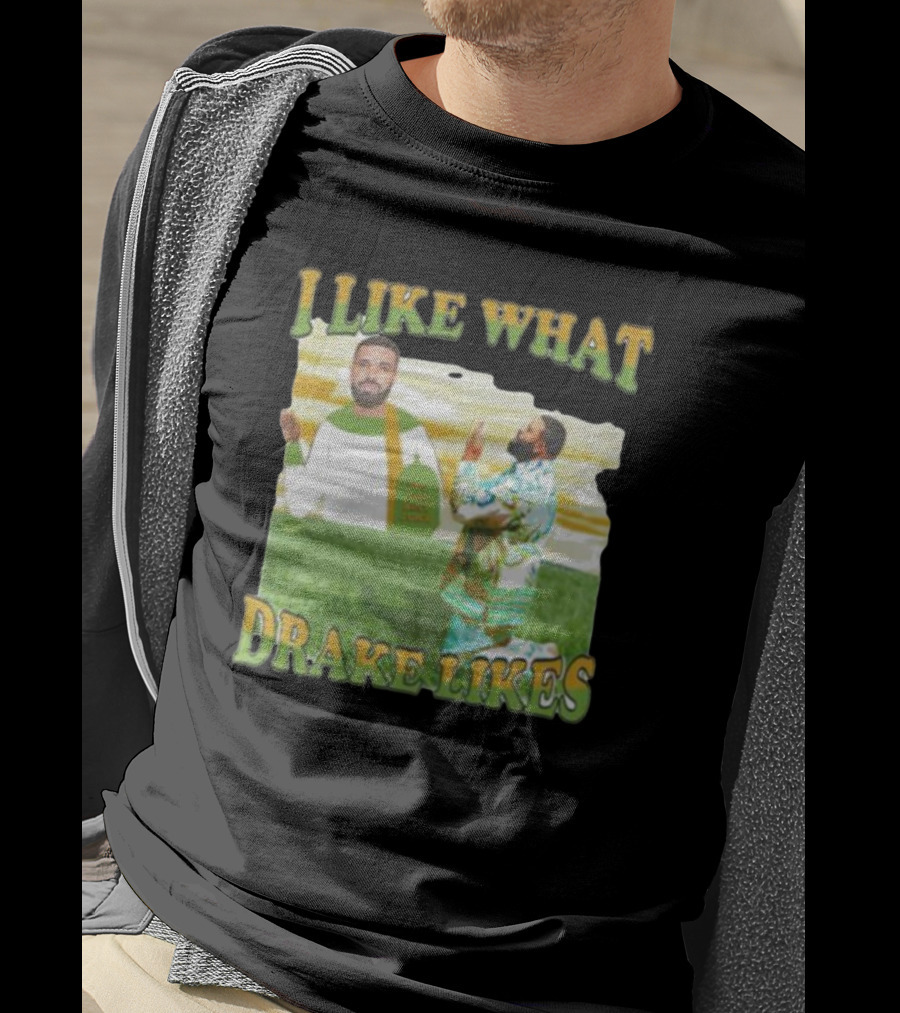 I Like What Drake Likes T-Shirt