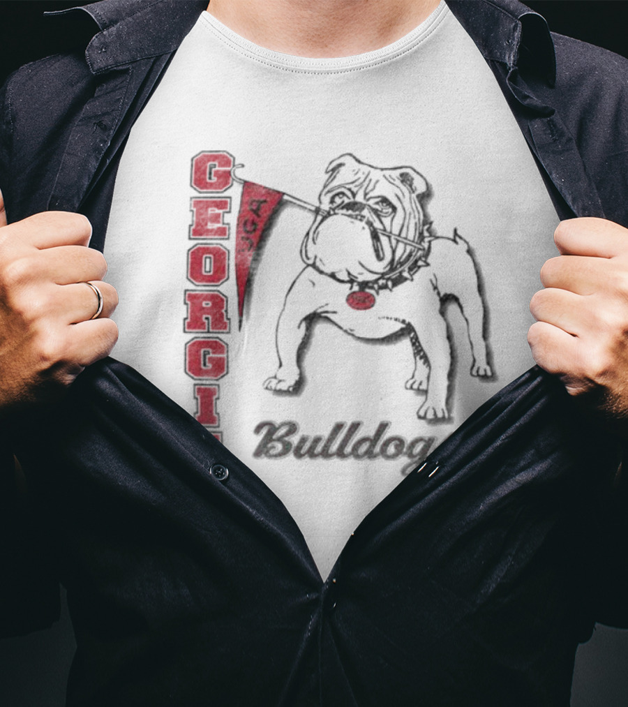 Georgia Bulldogs Vintage '47 Franklin Phase Out Retro Graphics T-Shirt