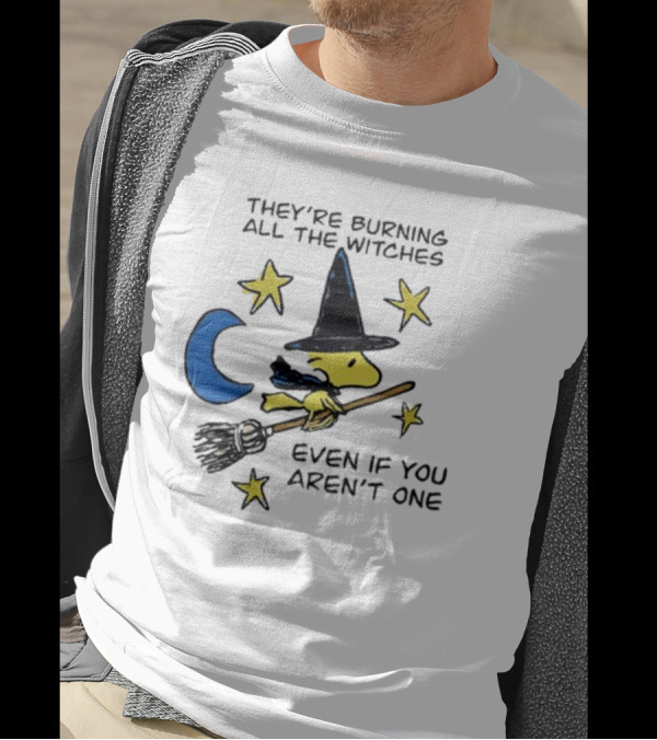 They’re Burning All The Witches Even If You Aren’t One Woodstock Wizard Stars Moon Broomstick T-Shirt