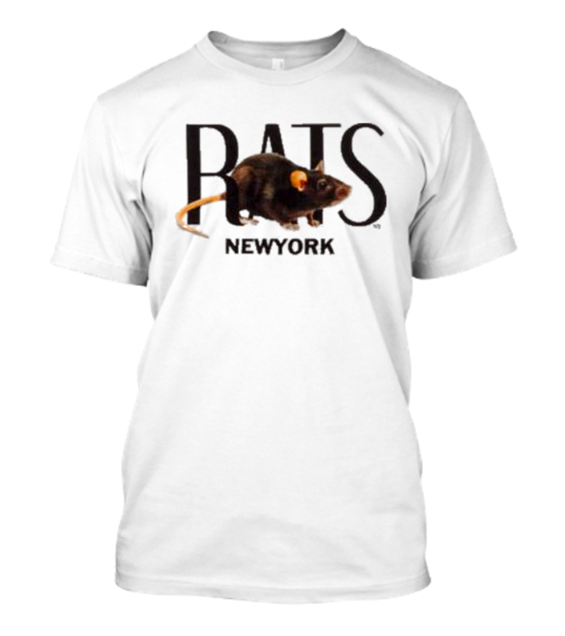 At The Moment X Highsnobiety New York Rats Graphic Rat Image T-Shirt