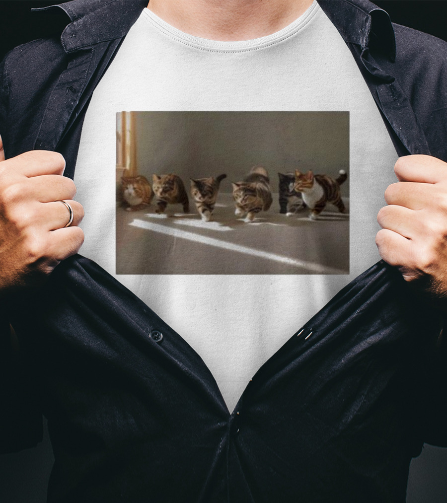 Cats Gay Strut Brigade T-Shirt