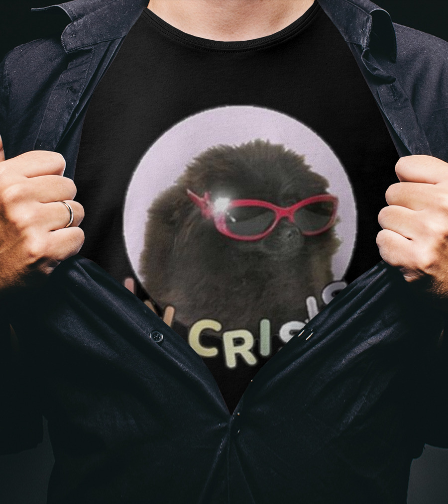 Got Funny In Crisis Dog Wearing Red Sunglasses Iconic T-Shirt
