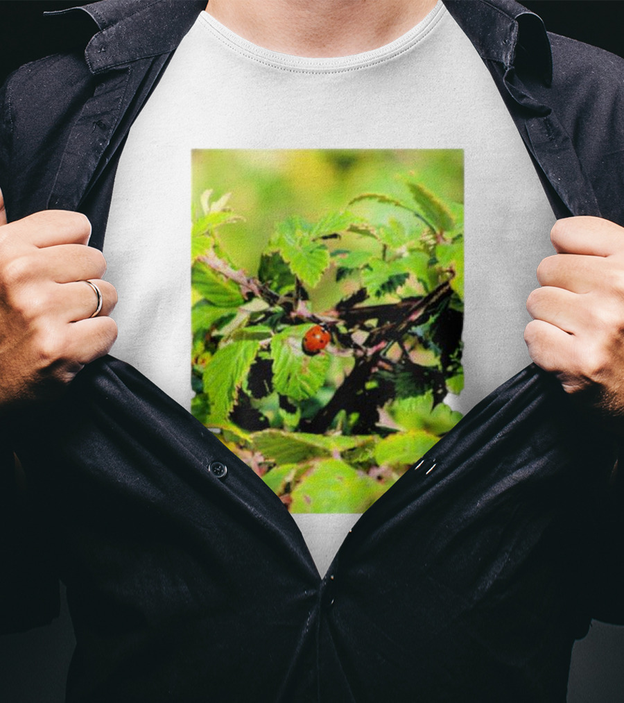 Spot In Nature With Ladybug On Leaf T-Shirt