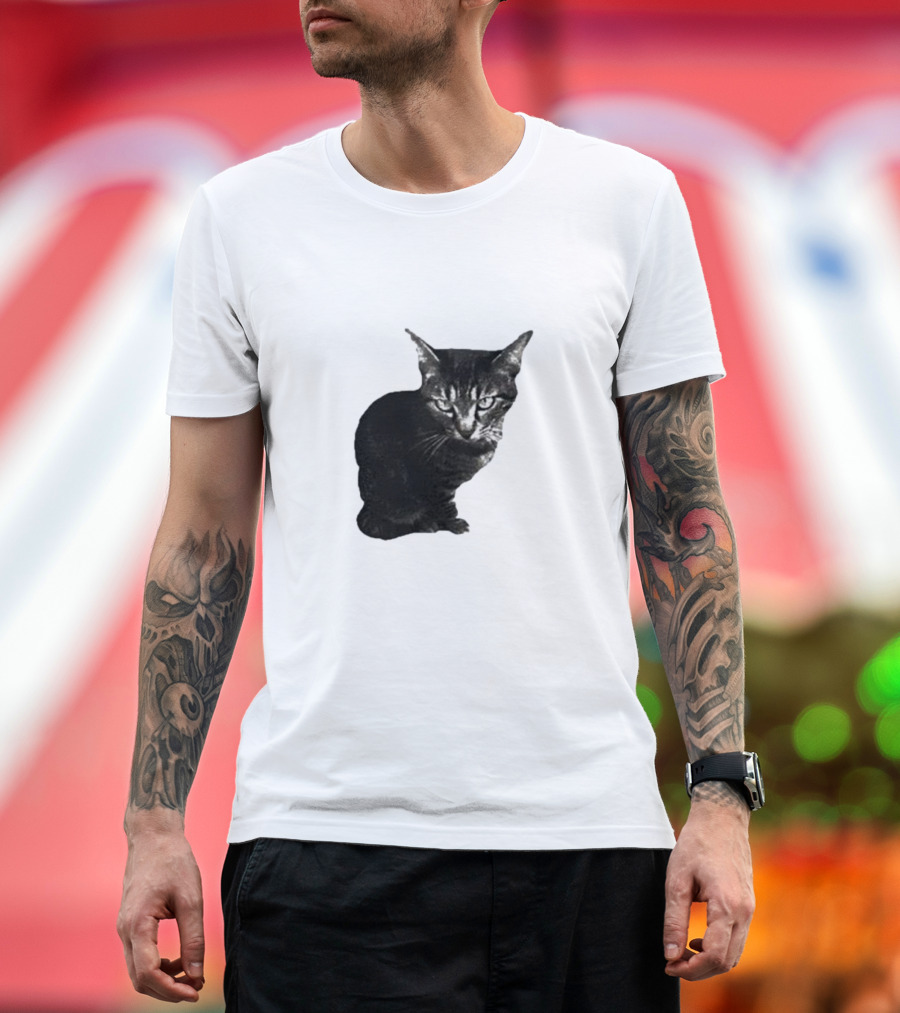 Smileymaya15 How Long Have I Been Here Kitten Cat Black Gray Tabby T-Shirt