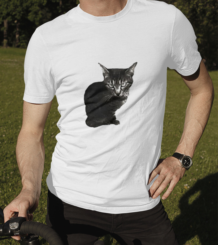 Smileymaya15 How Long Have I Been Here Kitten Cat Black Gray Tabby T-Shirt