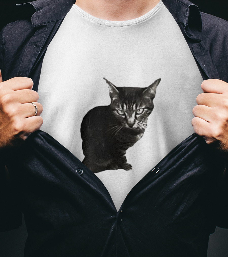 Smileymaya15 How Long Have I Been Here Kitten Cat Black Gray Tabby T-Shirt