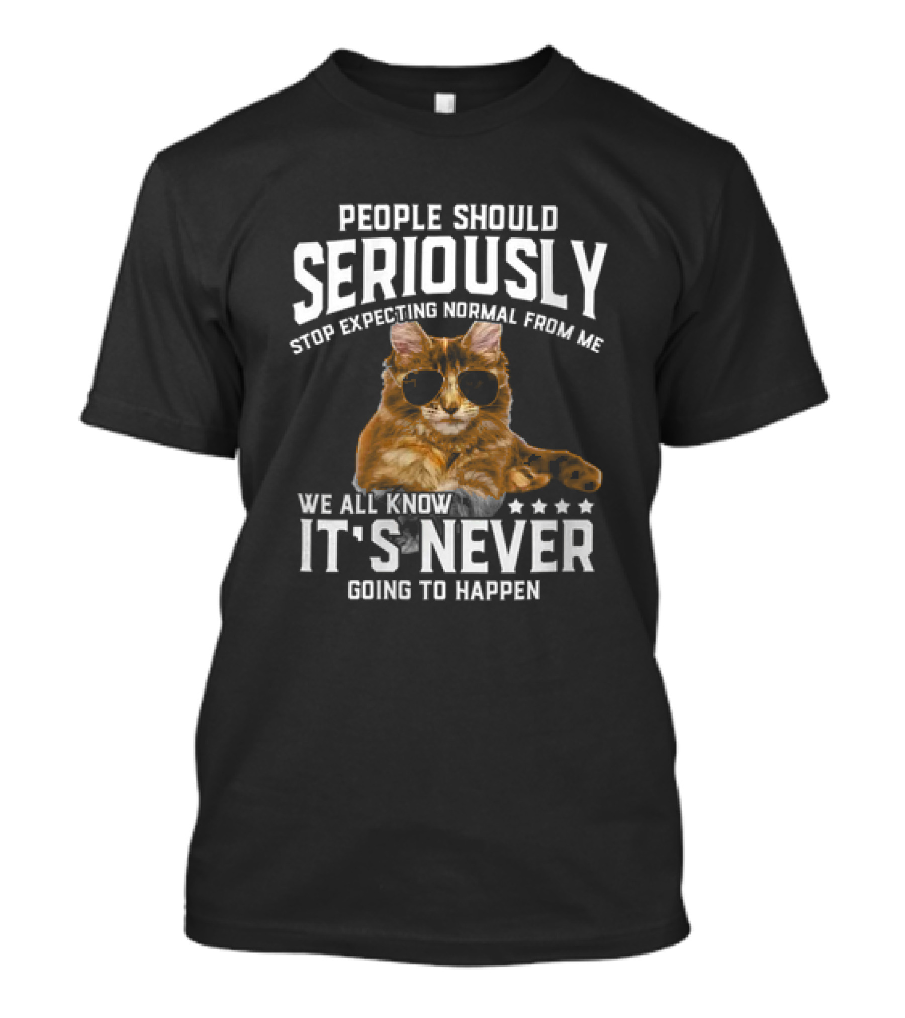People Should Seriously Stop Expecting Normal Cat Humor It's Never Going To Happen T-Shirt