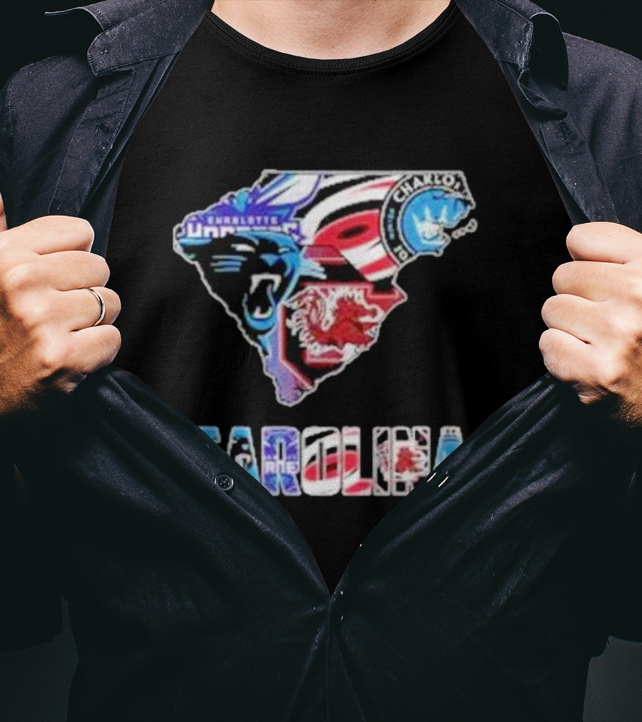 Carolina Panthers South Carolina Gamecocks Charlotte FC Hurricanes Carolina T-Shirt