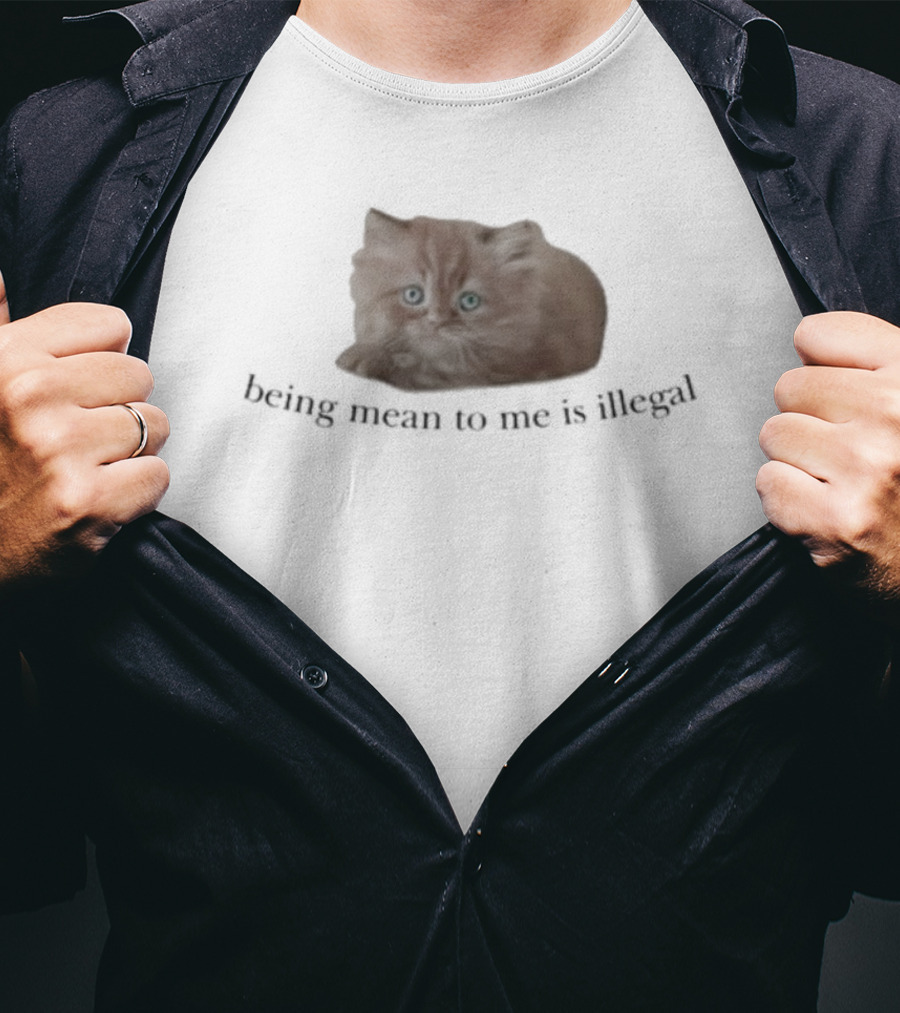 Being Mean To Me Is Illegal Cute Orange Cat T-Shirt