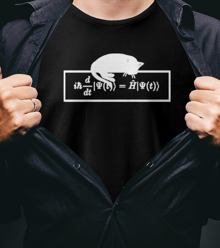 Schrodinger Equation Cat Quantum Physics Humor Psi Function T-Shirt
