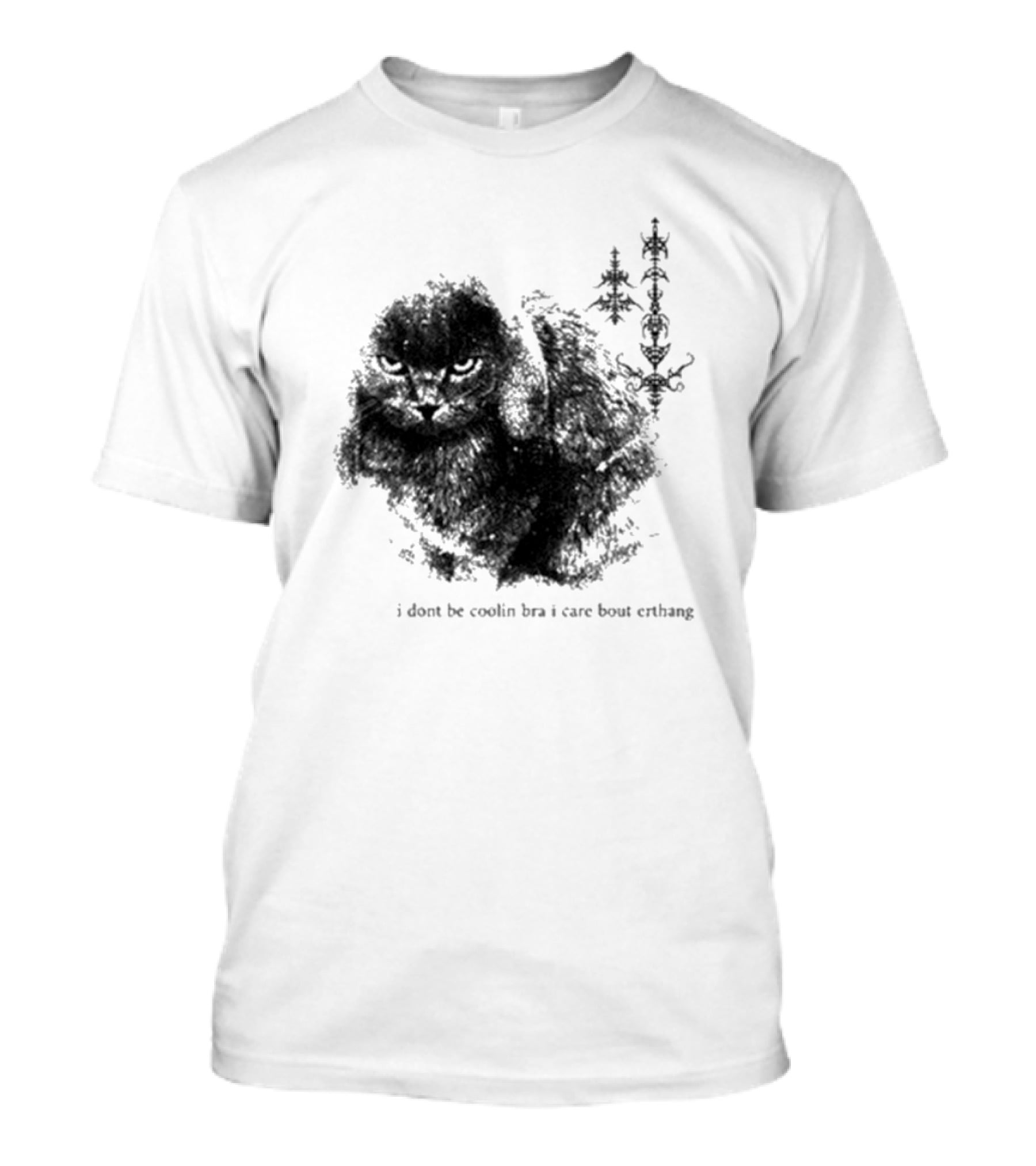 I Don’t Be Cooling Bra I Care About Errthang Cat T-Shirt