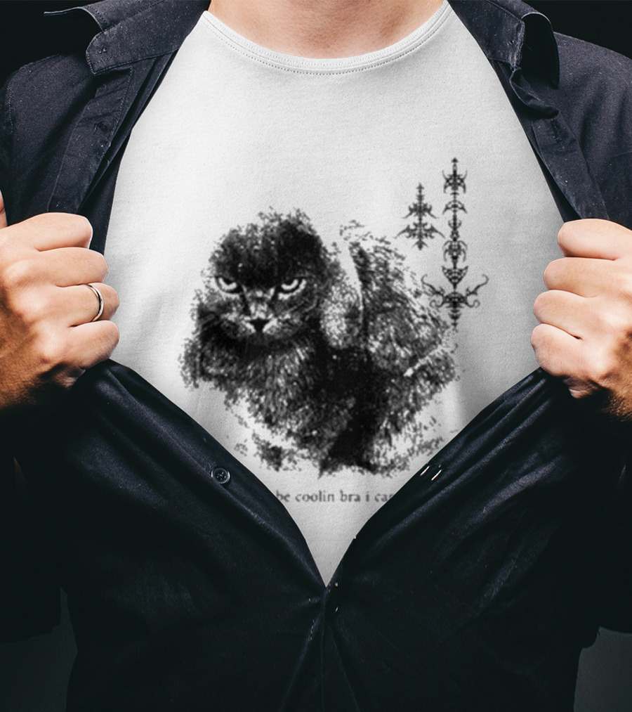 I Don’t Be Cooling Bra I Care About Errthang Cat T-Shirt