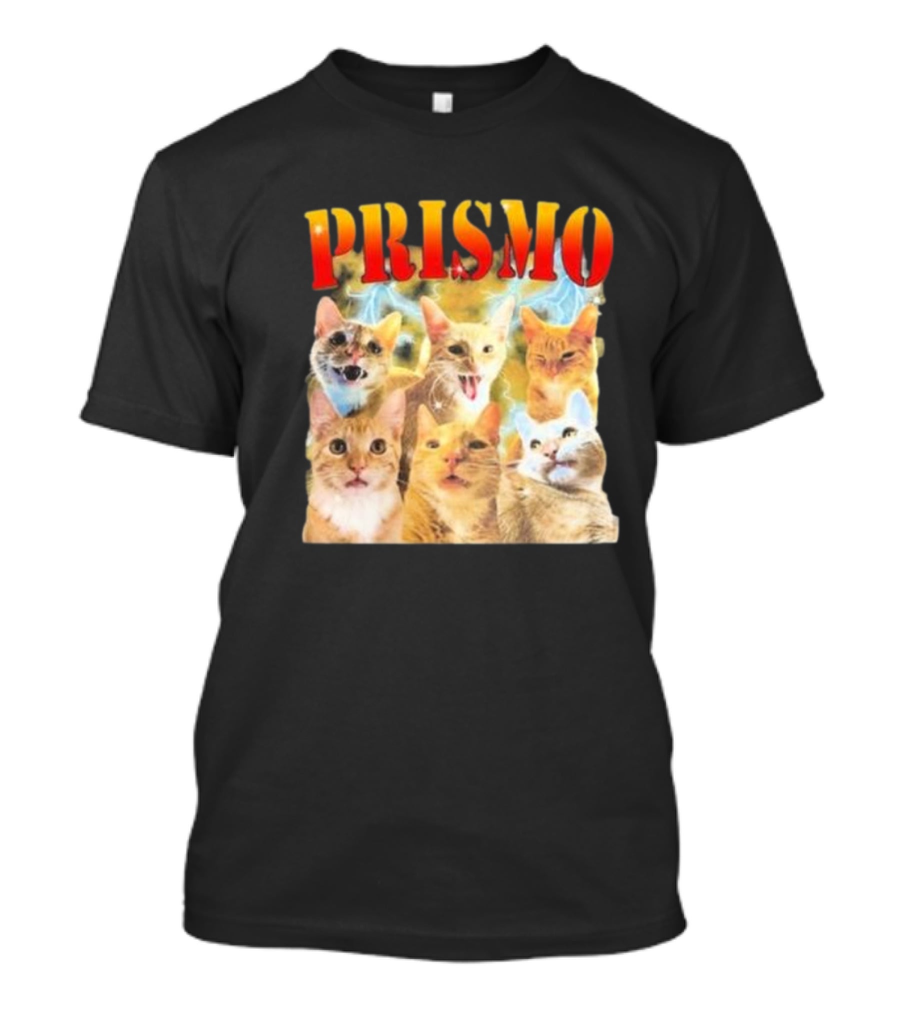 Prismo Cats Colorful Expressions Feline Montage T-Shirt