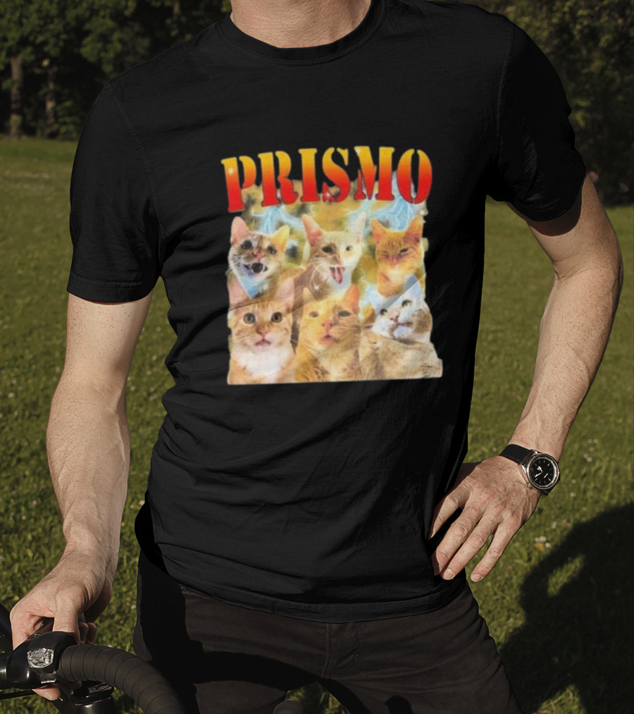 Prismo Cats Colorful Expressions Feline Montage T-Shirt