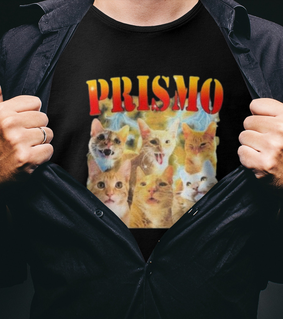 Prismo Cats Colorful Expressions Feline Montage T-Shirt