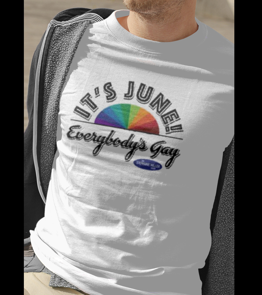IT'S JUNE Everybody's Gay Stephanie Miller Rainbow T-Shirt