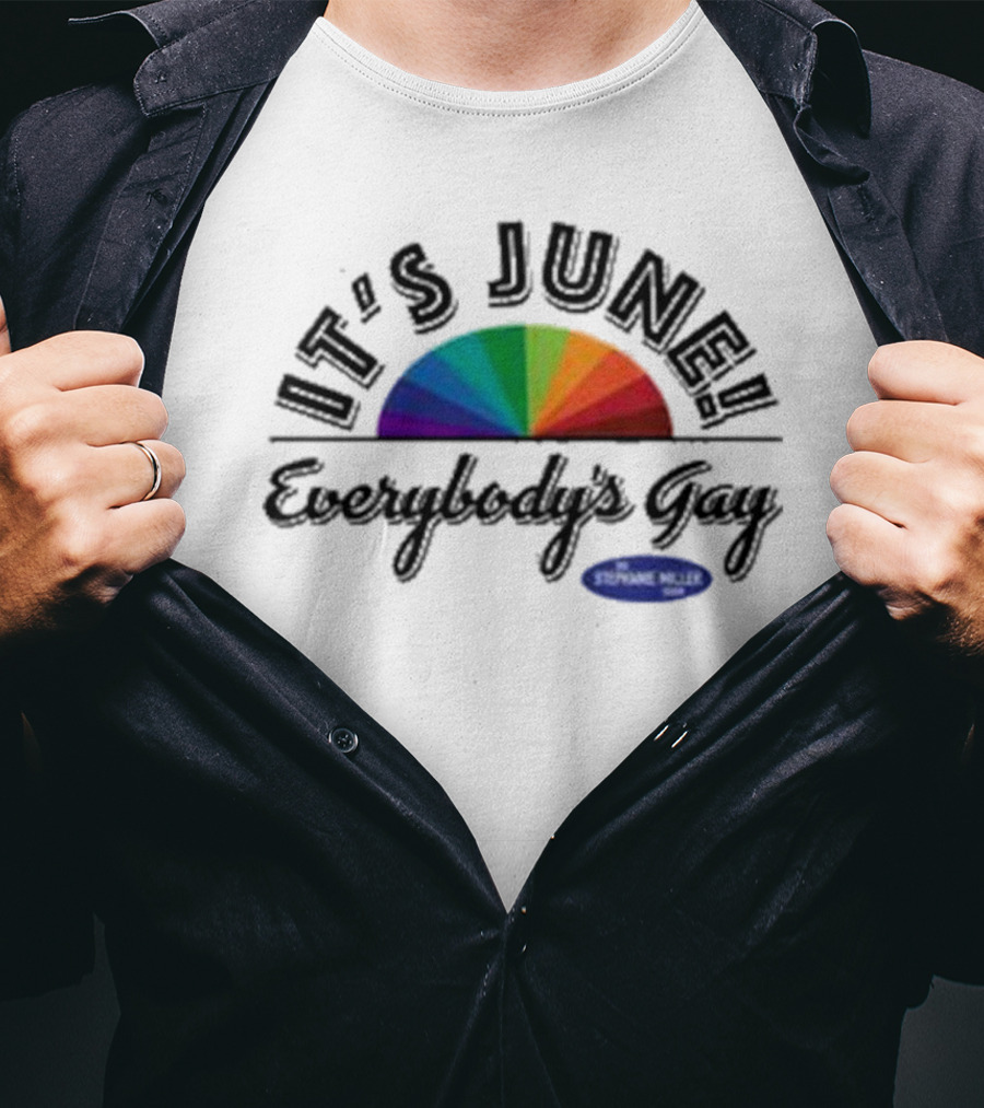 IT'S JUNE Everybody's Gay Stephanie Miller Rainbow T-Shirt