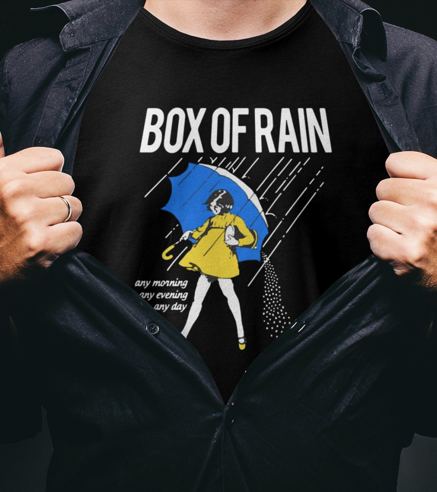 Box Of Rain Any Morning Any Evening Any Day T-Shirt