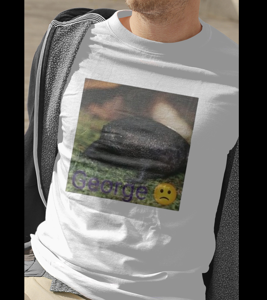 George Sad Frog Meme Inspired Image T-Shirt