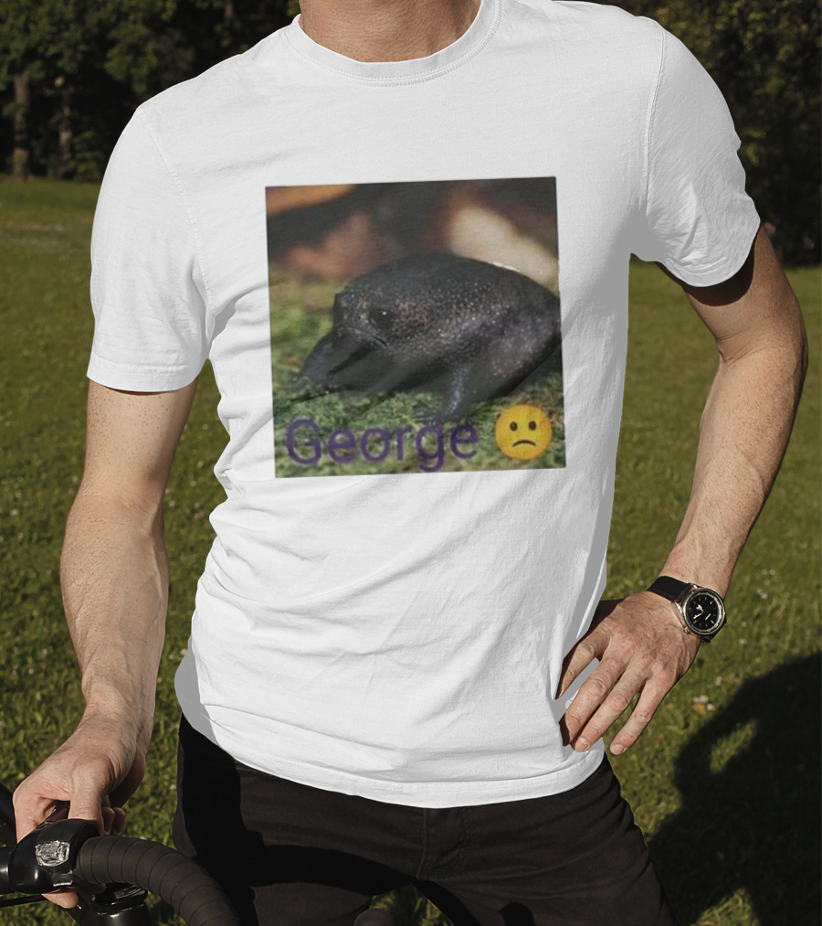 George Sad Frog Meme Inspired Image T-Shirt