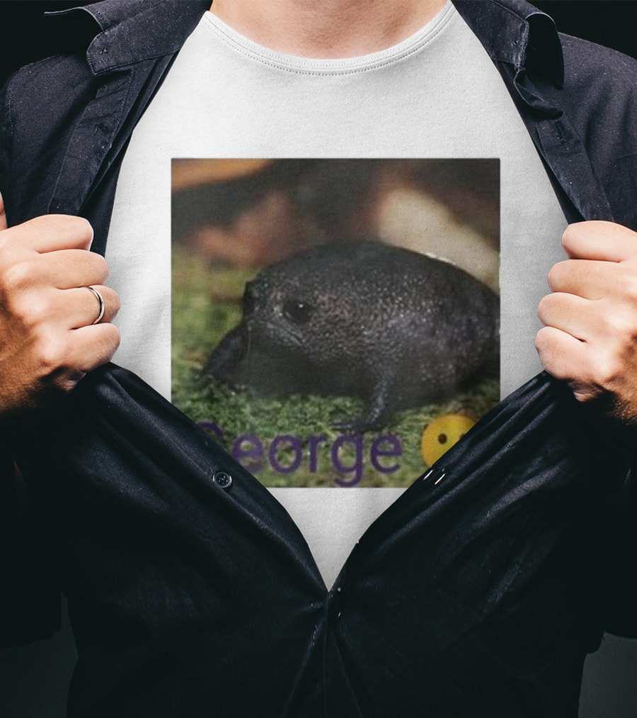 George Sad Frog Meme Inspired Image T-Shirt