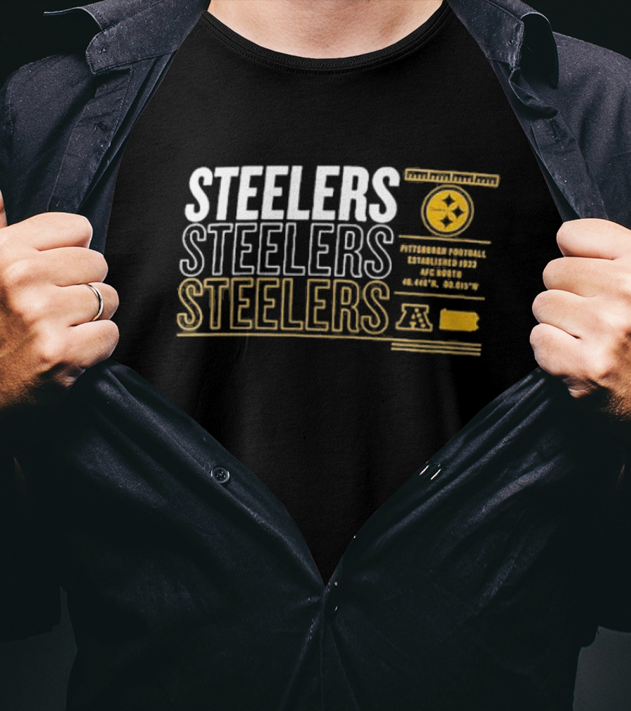 Steelers AFC North Pittsburgh Football Established 1933 Repeat Stats T-Shirt