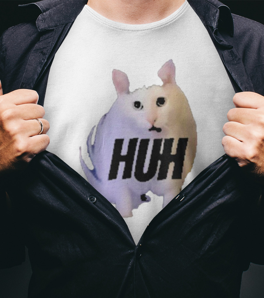 Huh Cat Meme Image T-Shirt