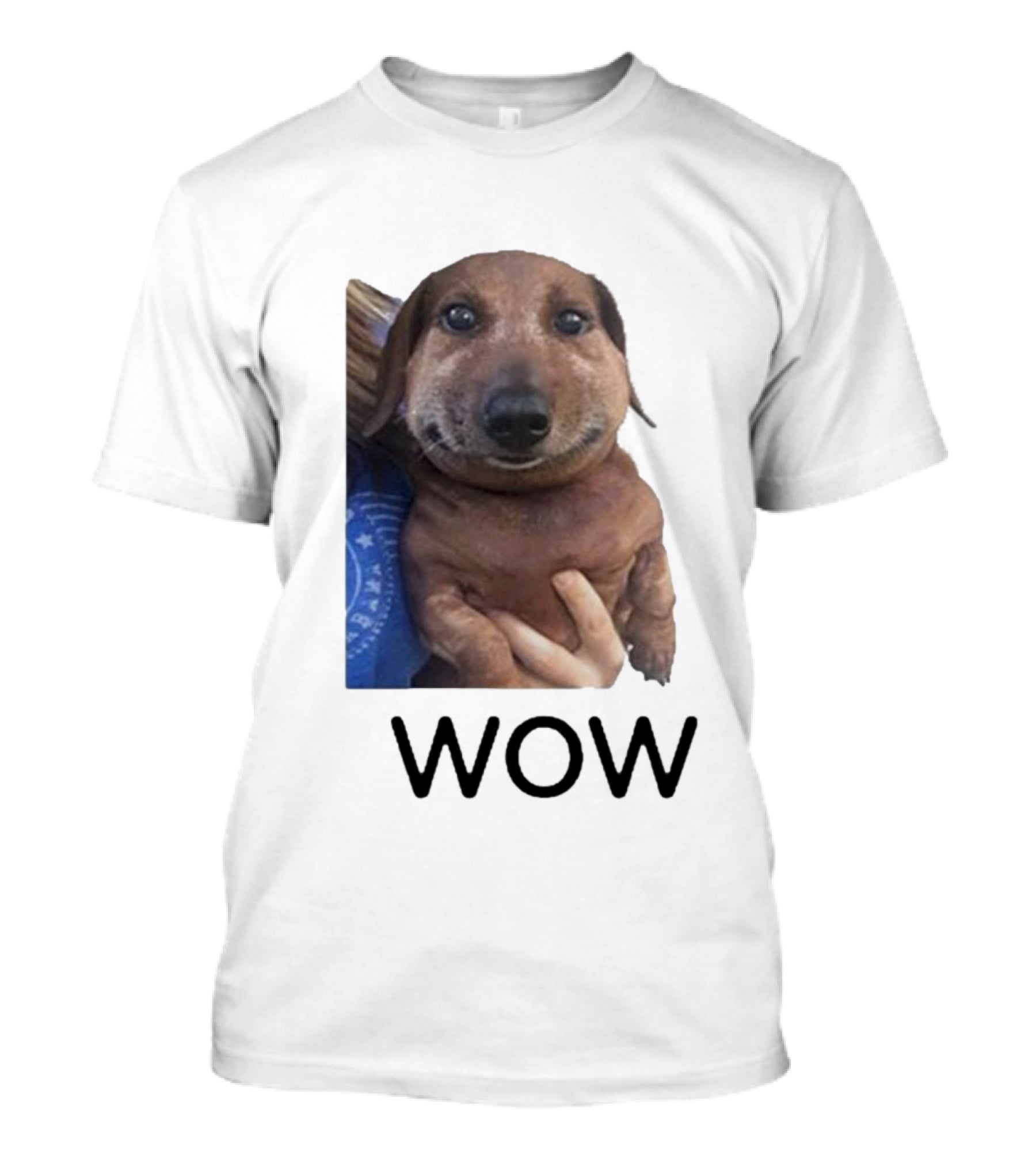 Fallenchungus Wow Dog Meme With Funny Expression T-Shirt
