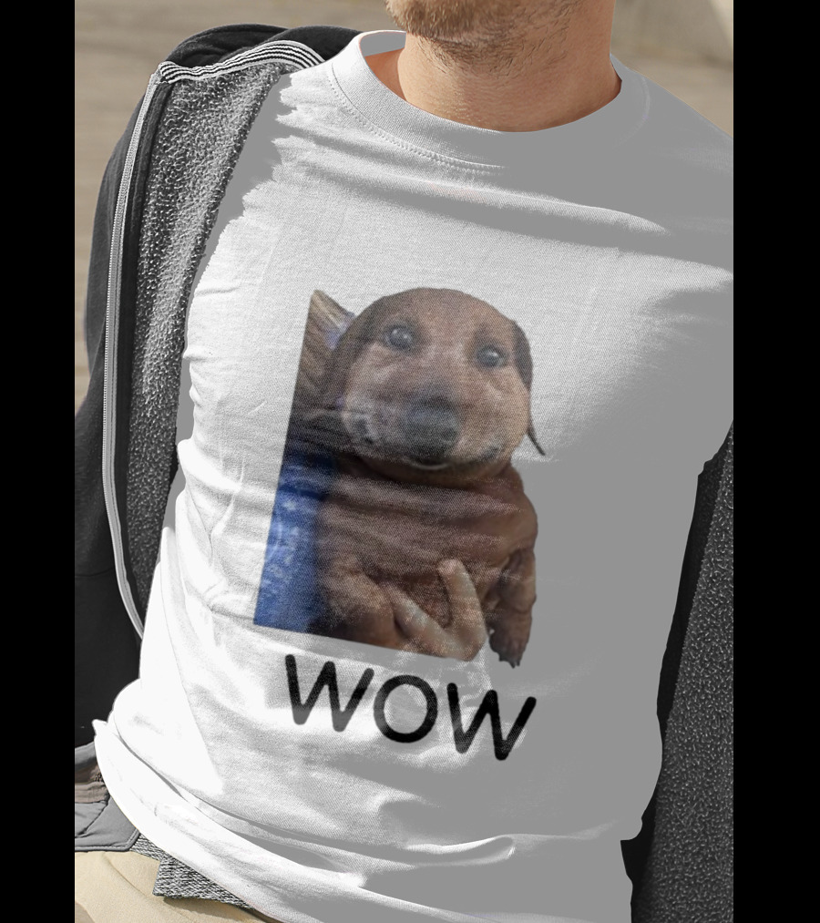 Fallenchungus Wow Dog Meme With Funny Expression T-Shirt