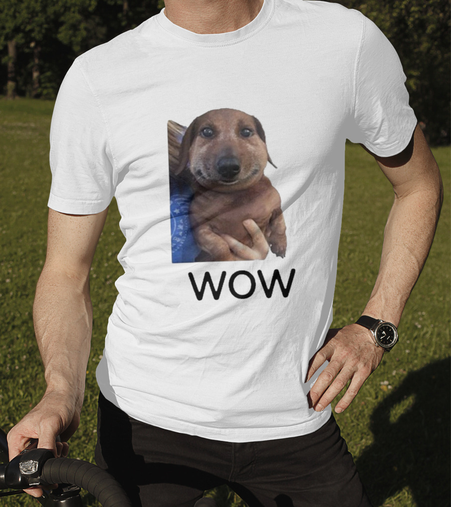 Fallenchungus Wow Dog Meme With Funny Expression T-Shirt