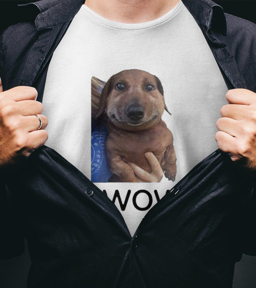 Fallenchungus Wow Dog Meme With Funny Expression T-Shirt