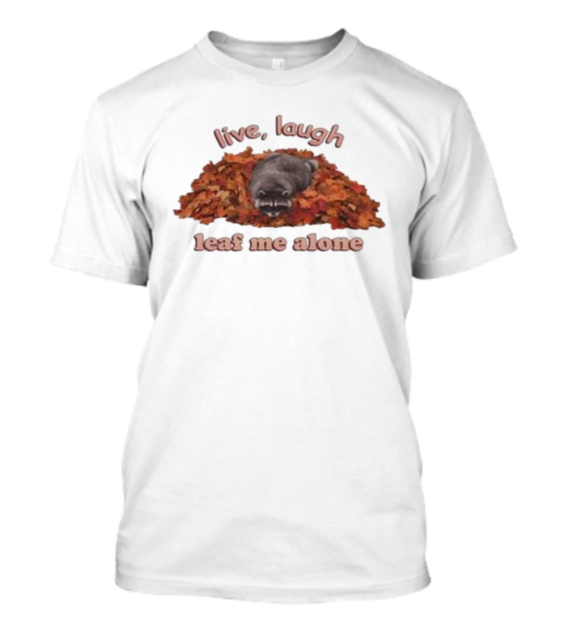 Live Laugh Leaf Me Alone Raccoon Autumn Leaves T-Shirt