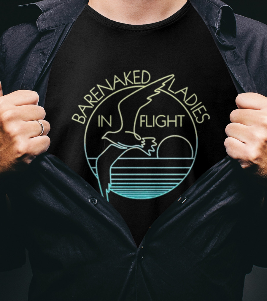 Barenaked Ladies In Flight Seagull Sunset Circle T-Shirt