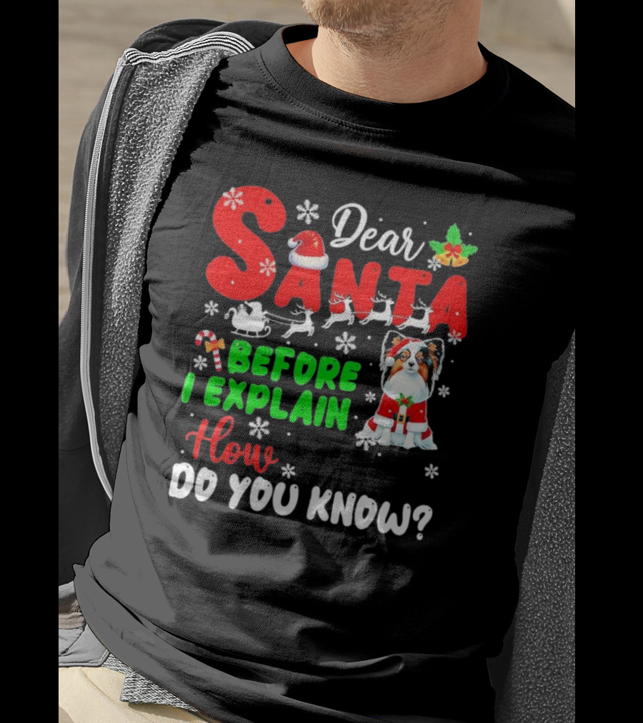 Dear Santa Before I Explain How Do You Know Santa Hat Reindeer Dog Xmas T-Shirt