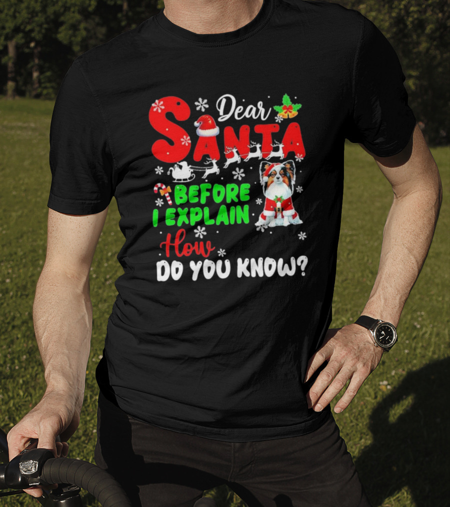Dear Santa Before I Explain How Do You Know Santa Hat Reindeer Dog Xmas T-Shirt