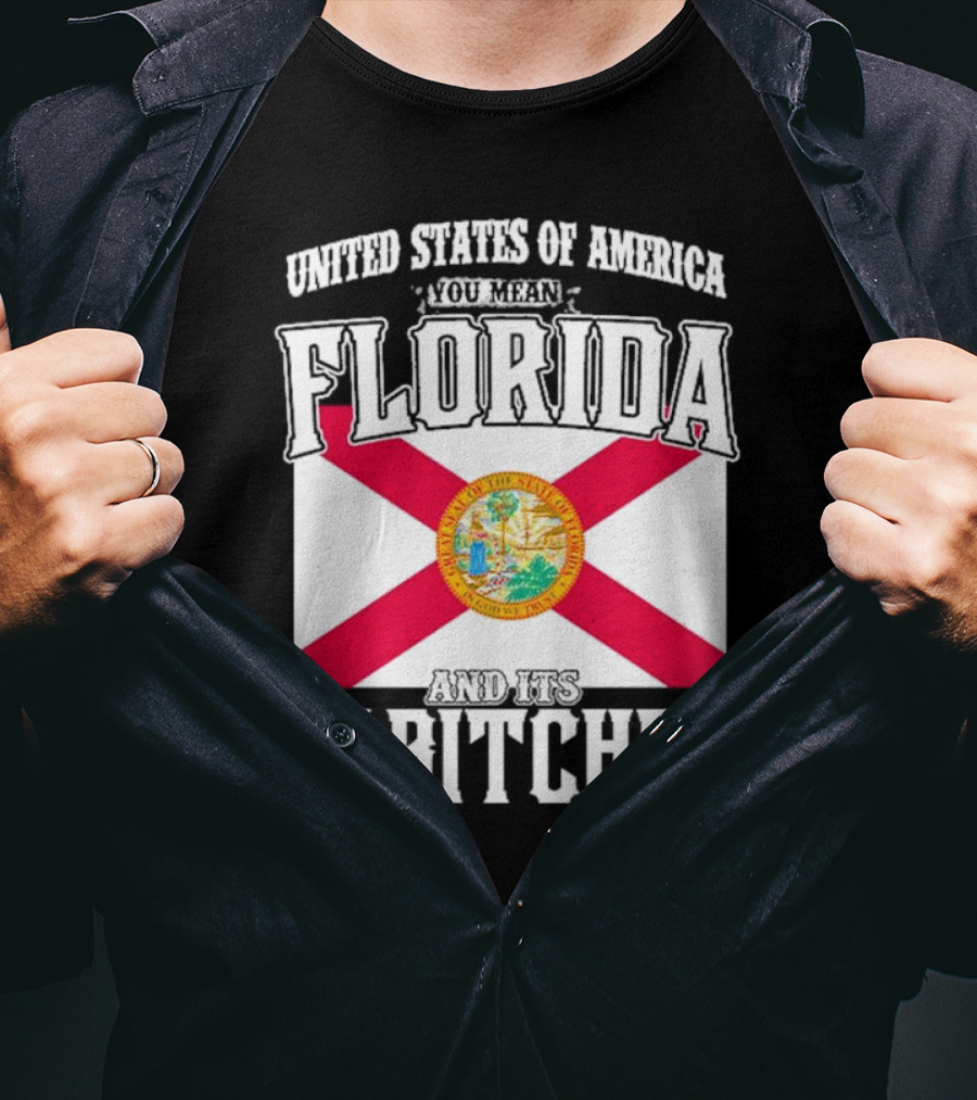 United States Of America You Mean Florida And Its 49 Bitches Flag T-Shirt
