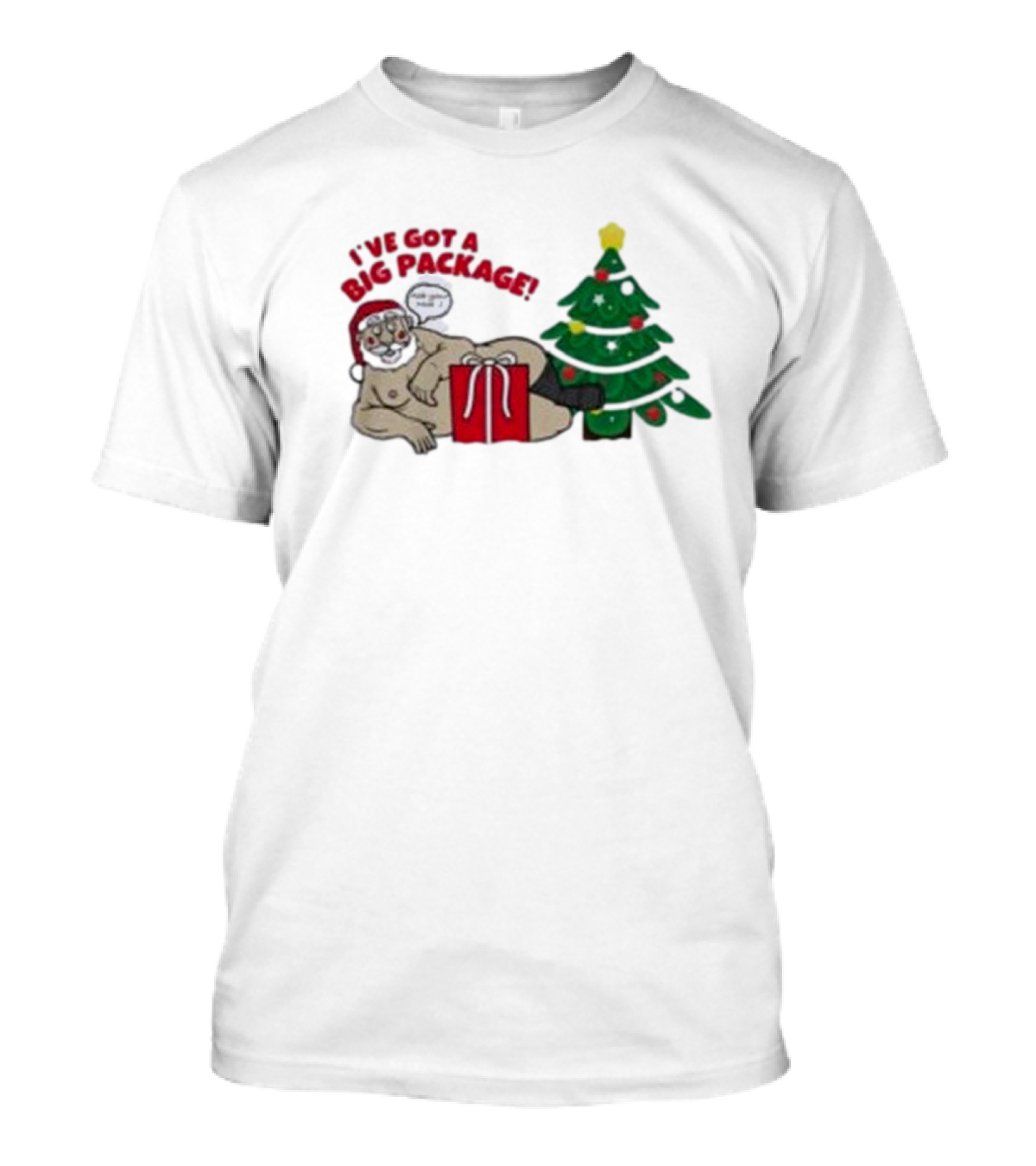 I've Got A Big Package Santa's Tree Smash Ugly Christmas T-Shirt
