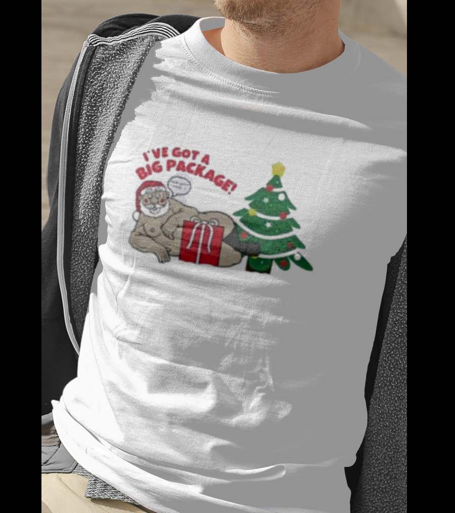 I've Got A Big Package Santa's Tree Smash Ugly Christmas T-Shirt