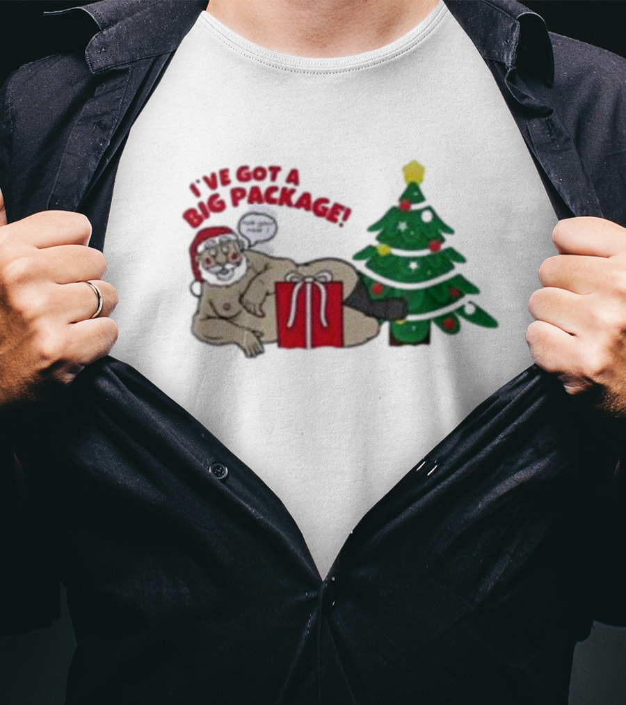 I've Got A Big Package Santa's Tree Smash Ugly Christmas T-Shirt