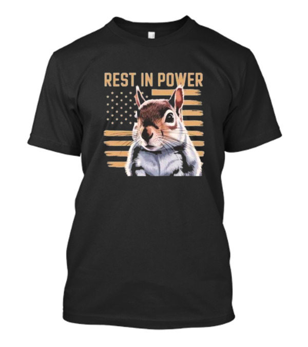Rest In Power Peanut Justice For Peanut 2024 Squirrel American Flag T-Shirt