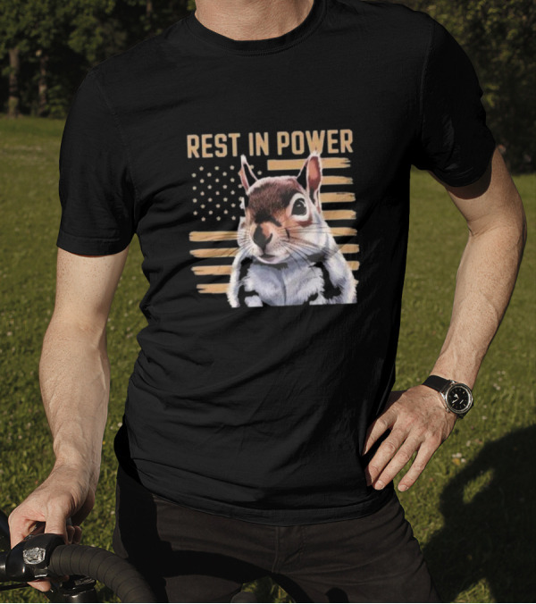 Rest In Power Peanut Justice For Peanut 2024 Squirrel American Flag T-Shirt
