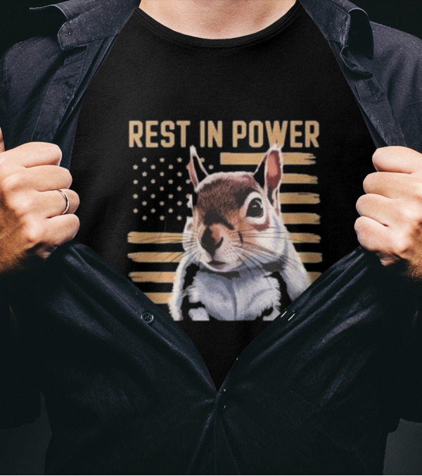 Rest In Power Peanut Justice For Peanut 2024 Squirrel American Flag T-Shirt
